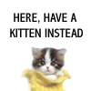 tmz_cori: (chori - have kitten instead)