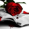 ext_407641: (book rose)