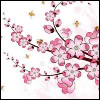 ext_407641: (sakura)