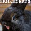 sugar_cookie: (Ermahgerd Bun Bun)