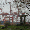 heuradys: photo of three giant container cranes at Port of Vancouver (port of vancouver)