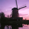 aome: (windmill purple)