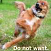 fenrisulfr: Dog doding something from off-camera, whites of eyes visible, with text "Do not want" on bottom. (DO NOT WANT.)