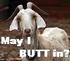 china_shop: Goat: may I butt in? (Butt in)