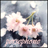 darchildre: cherry blossoms.  text:  "persephone" (persephone)