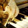 spud66cat: (Cat on Piano)