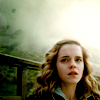 spud66cat: (HP-HBP-Hermione)
