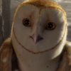 owl_soren: (Umm what?)