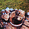 golemized: (FLINT)