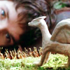 heathershaped: (Merlin: Merlin)