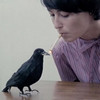 q_w_z: (birdy)