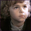 dreamflower: (wee hobbit lad by <lj user="danae_b">)