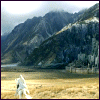 dreamflower: (gandalf and pippin ride to minas tirith)