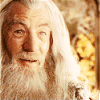 dreamflower: (gandalf by <lj user="danae_b">)