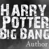 rhianona: (HP Big Bang icon)