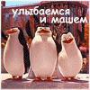 tossabi: (пингвины)