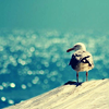 zanzando: (pic#426228)