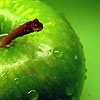 taselby: (Food: apple)