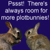 elkes_obsession: There's always room for more plotbunnies! (plotbunnies)