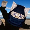 neu: (ninja cat)