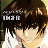 asiren: Kira cornered. (kira - caged tiger)