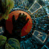 aerianya: (activation)