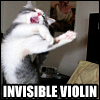 sam_bluesky: A cat playing an invisible violin (cat - invisible violin)