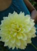 buria_q: (Default)