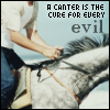 wicked_socks: (horse canter is the cure for all evil)