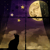 skein: (Full Moon Cat)