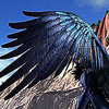 toolofdestruction: (wings.)