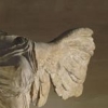 scintilla10: close-up of the Greek statue Victoire de Samothrace (joyful hug)