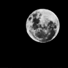 saltwater_blood: (Full moon)