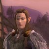 hruin: A brown-haired, male elf in armor with feathered shoulders, sunset in the background  (LotRO)