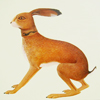 bluemeridian: (NF :: Hare)
