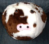 readinggeek451: (spherical cow)