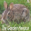 justhuman: (menace)
