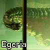 tokra_tunnels: Picture of Egeria, mother of the Tok'ra (Default)