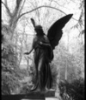 ayngelcat: (Angel statue)