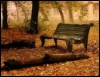 disgruntledgirl: AutumnBench (AutumnBench)