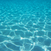 seashimmer: (Default)