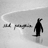 auburn: black & white pic of single penguin with text (Sad Penguin)
