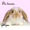 mmouse15: Brown and white rabbit with 'The bunnies get you' written around it. (Bunnies)