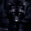 monsteroftheriver: (wolf ♜ neutral)