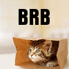 sporky_rat: Animated image of a cat in a bag with the text 'BRB going to space'. (brb going to space)