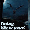 cruisedirector: (lifeisgood)