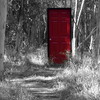 many_doors: (doors)