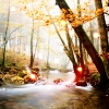 soulswallo: (Stock-Lovely stream in the woods)