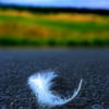 ravurian: (feather)