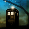 geekgirl: (TARDIS at Night)